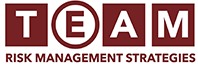TEAM Risk Management Strategies logo